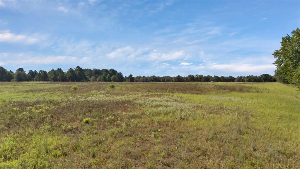 The Reserve At Shadle - Land