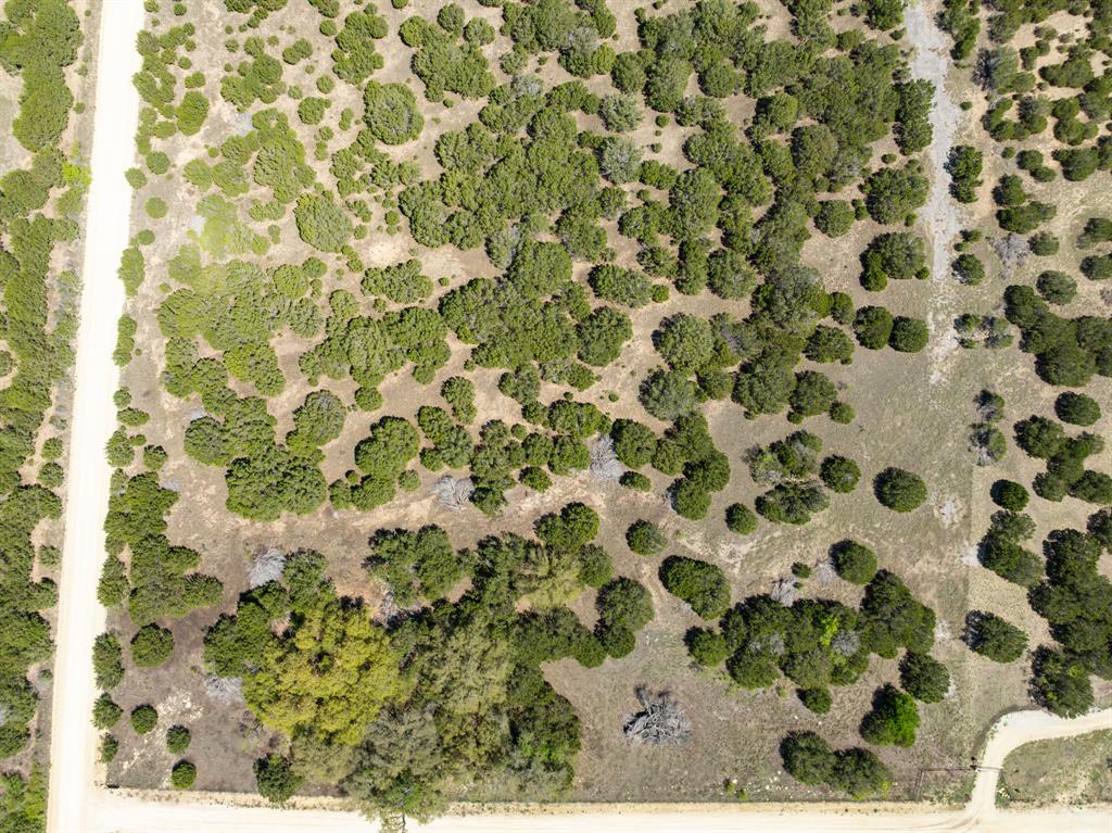 D Andrews Surv Abs #2 - Land