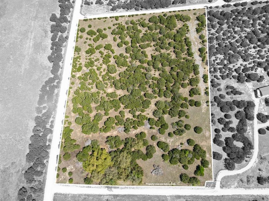 Discover the perfect blend of privacy, freedom, and convenience with this 10.10-acre tract in High Point Estates, just 9 miles north of Evant, TX, on County Road 421. Featuring a gated entrance, this property offers No Deed Restrictions and no HOA fees, giving you the flexibility to build your dream home, establish a weekend retreat, or use the land as you see fit. The rolling terrain is complemented by excellent tree cover and an abundance of wildlife, making it a nature lover’s paradise. Electricity and fiber optic internet are available, ensuring modern conveniences, while a water well will need to be drilled for water access. Located in the Evant Independent School District, this property is centrally positioned—just minutes from Evant and Hamilton, 30 minutes from Gatesville, Goldthwaite, and Lampasas, and approximately 1 hour and 10 minutes from Waco, Stephenville, Temple, Killeen, and Brownwood. Whether you're seeking a peaceful getaway or a place to build your future, this unrestricted acreage offers endless possibilities.
MORE PHOTO COMING SOON