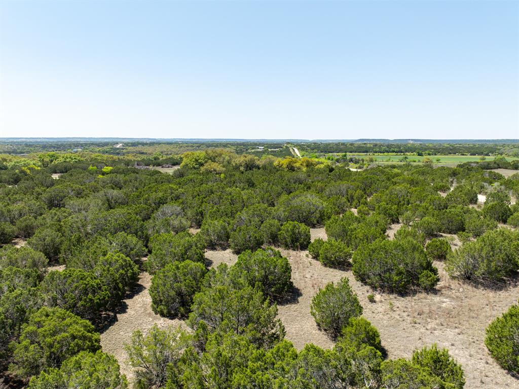 D Andrews Surv Abs #2 - Land