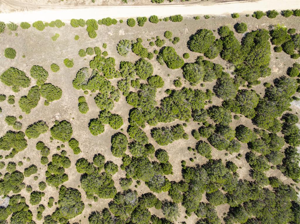 D Andrews Surv Abs #2 - Land