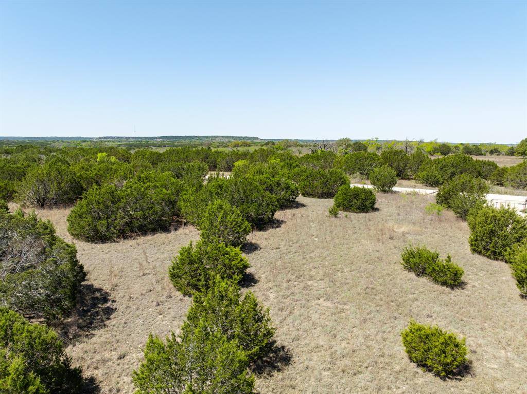 D Andrews Surv Abs #2 - Land