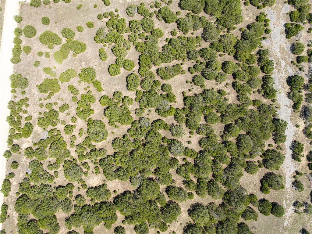 D Andrews Surv Abs #2 - Land