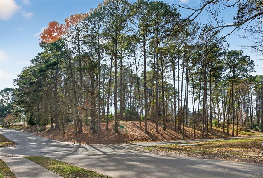 Build your dream home on this Beautiful and spacious corner lot on a hill! 0.837 acre lot in the heart of Spring Lake subdivision - located on the corner of Mary Eve and Glen Erica.  Walk to Pierremont Oaks!
Prime location for this lot with great proximity to shopping, hospitals, restaurants, etc.  

LOT 26, PIERREMONT HILLS