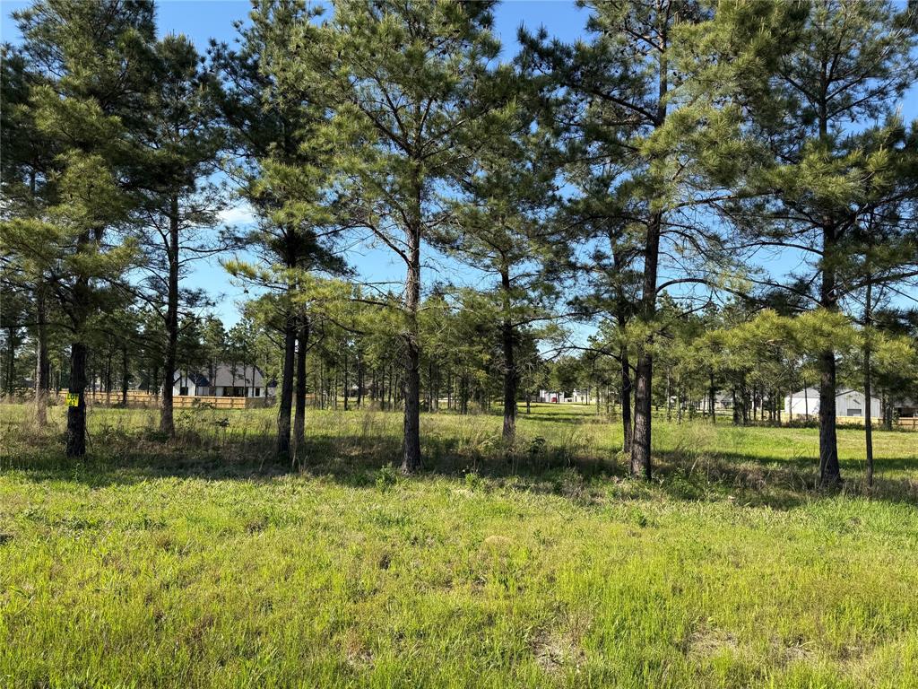 Faith Plantation - Land