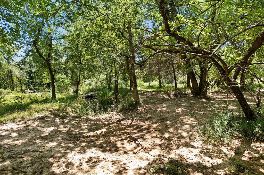 Survey Abs #706 - Land