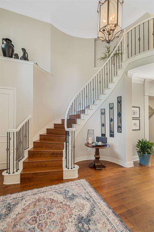 504 Rainforest Lane