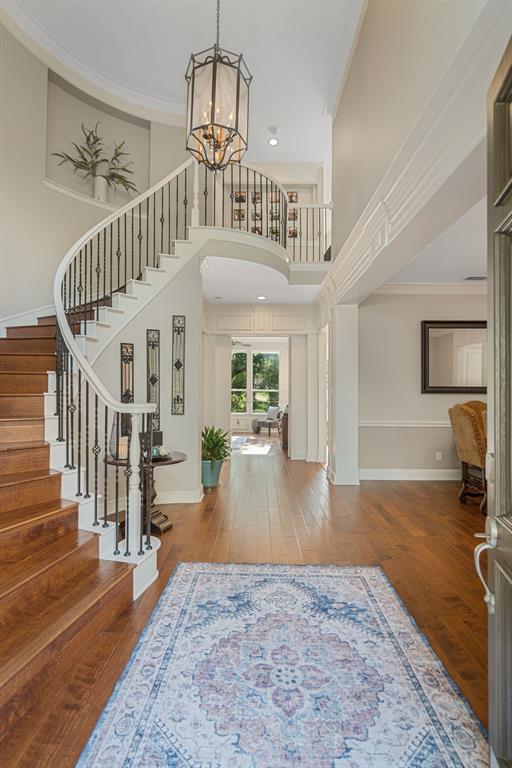 504 Rainforest Lane