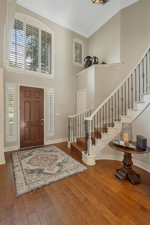 504 Rainforest Lane