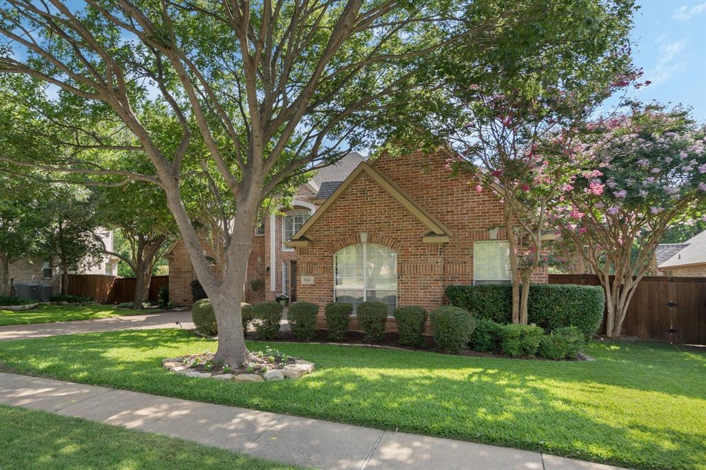 504 Rainforest Lane