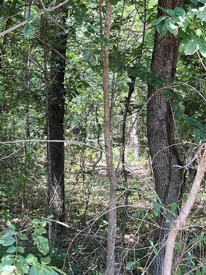 106 RED BLUFF LOOP, MABANK, TX 75156 - Image d6dc4b83250431066bcfcb678f151db2/474912389