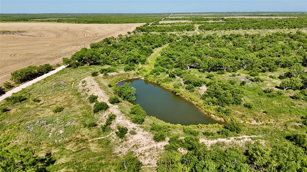 TBD County 131 Road