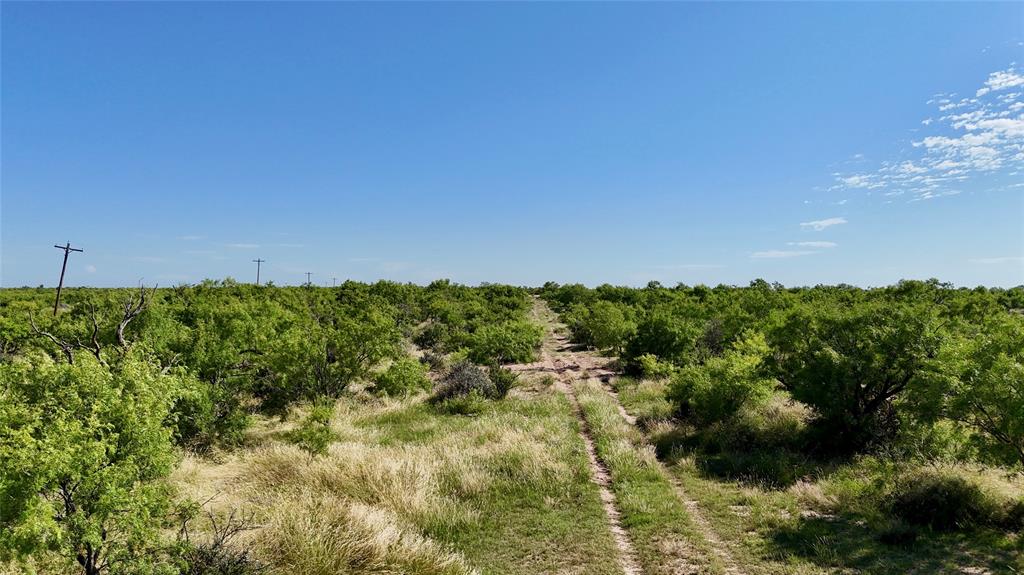 TBD County 131 Road