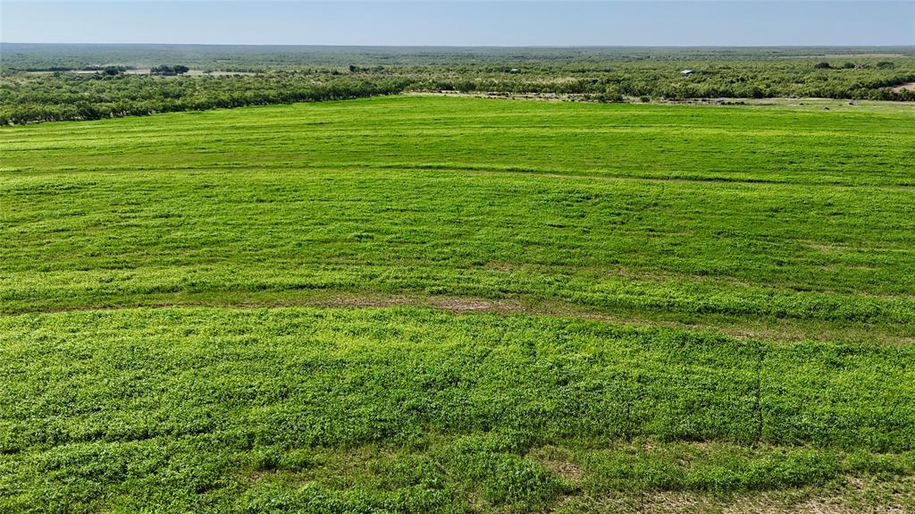 TBD County 131 Road