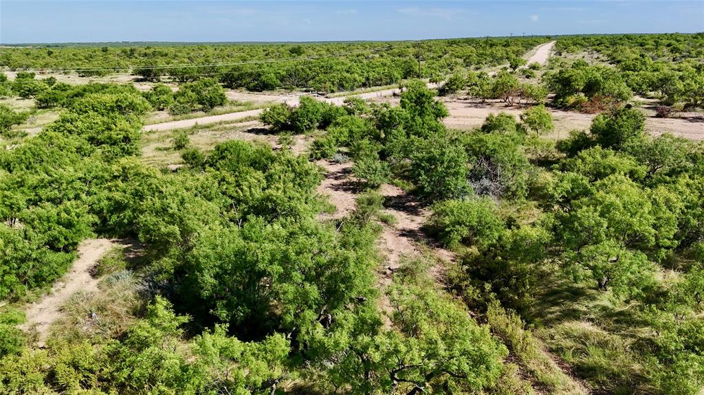 TBD County 131 Road