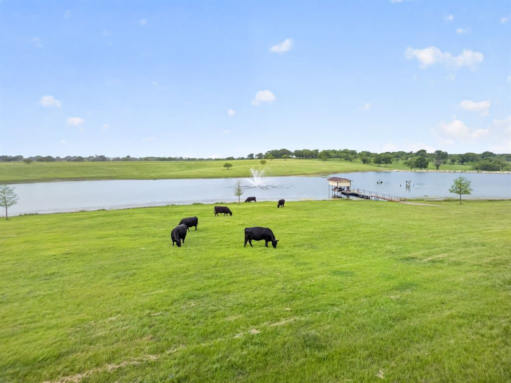 A Garza - Farm