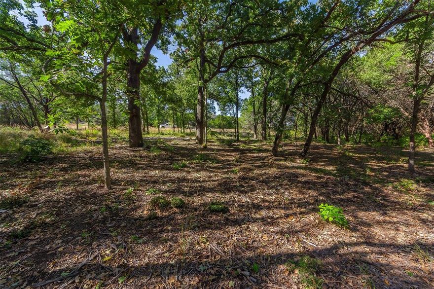 Discover the perfect blend of peaceful country living and convenient city access with this stunning 1.155 acre homesite in a prime, Glen Rose ISD location! This spacious lot has been mostly cleared of the heavy brush -- yet still features majestic, mature trees providing natural shade and character. A picturesque creek meanders through a small portion of the property, creating a tranquil and scenic setting and offering a perfect backdrop to enjoy nature in your own backyard. Families can enjoy weekend adventures with quick access to Fossil Rim Wildlife Center and Dinosaur Valley State Park-- or take a short drive to Granbury to enjoy the iconic Granbury Square with it's charming shops and fantastic restaurants -- or spend the day on beautiful Lake Granbury. This lot is part of the new Vista Ridge Ranch subdivision, offering a unique opportunity to experience the serenity of country living without sacrificing proximity to city conveniences. With it's natural beauty, peaceful setting and unbeatable location, this property truly offers the best of both worlds. Come check it out -- and start building your dream home today!