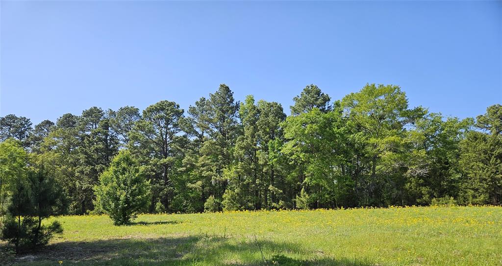 19020 Pine Meadow Lot 1 FM 317