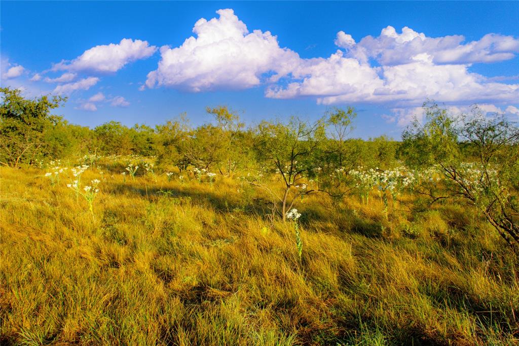 McClure Mountain Ranches - Land
