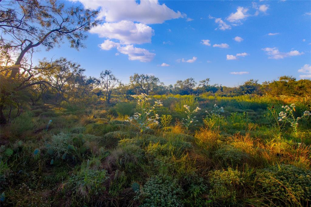 McClure Mountain Ranches - Land