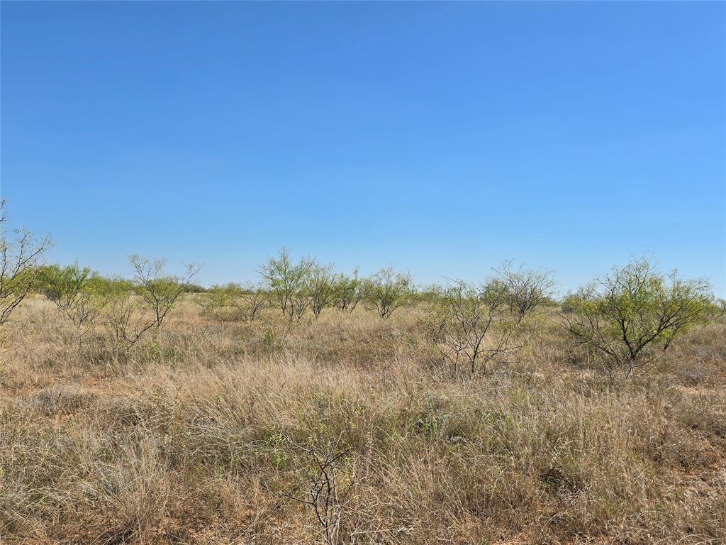 TBD CR 498