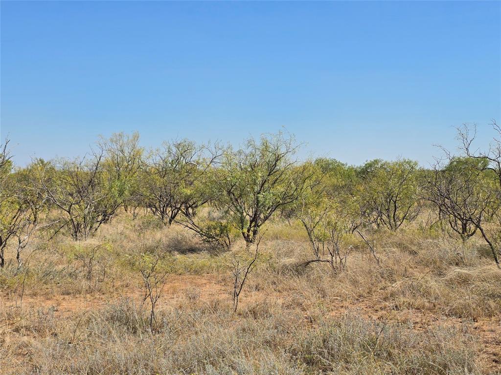 TBD CR 498