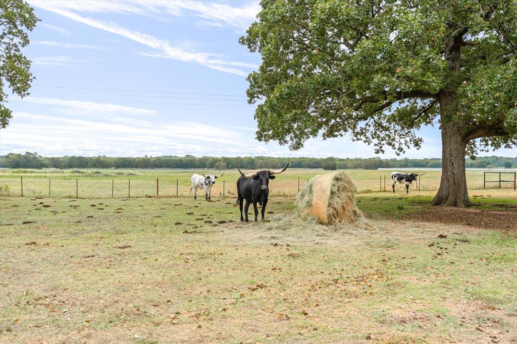 Wills Point - Residential