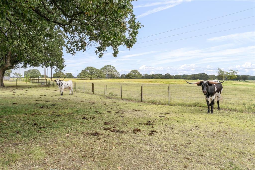 Wills Point - Residential