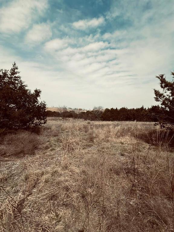 COUGAR MOUNTAIN ESTATES - Land