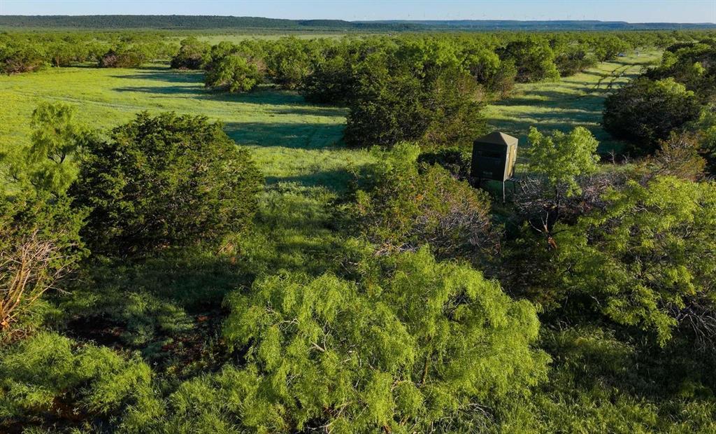 T E & L Co Surv Abs #519 - Farm