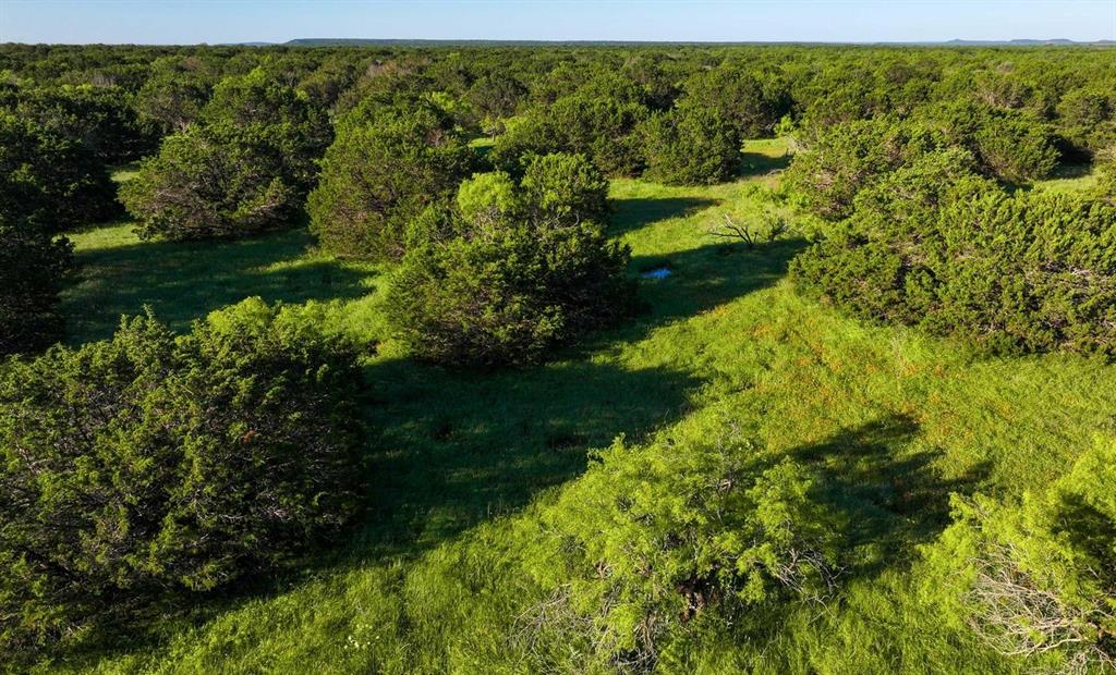 T E & L Co Surv Abs #519 - Farm