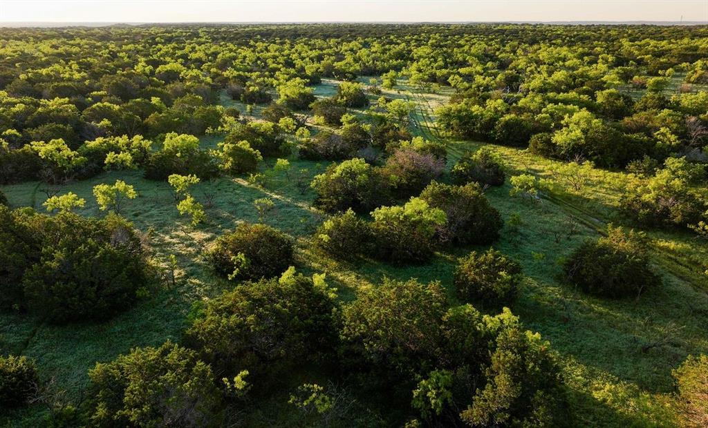 T E & L Co Surv Abs #519 - Farm