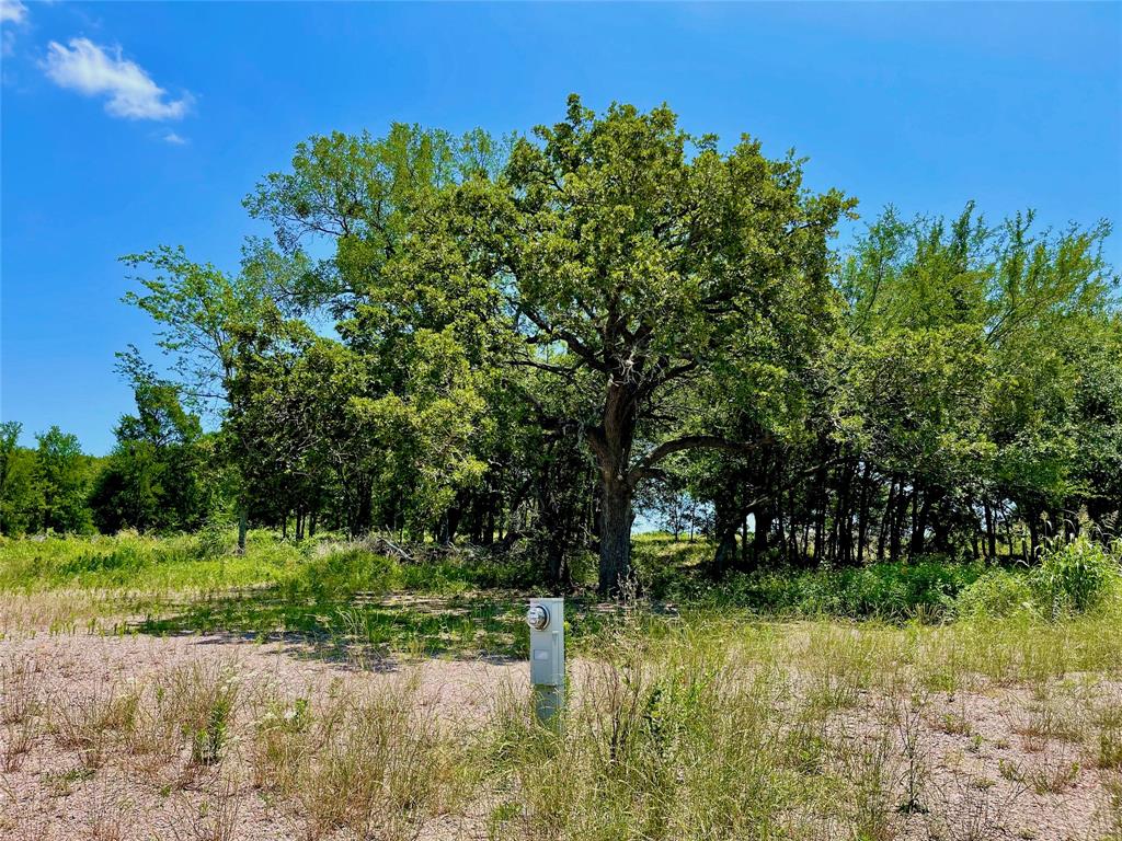 4WR Acres - Land
