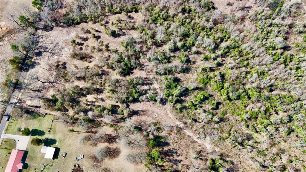 Abs A043 Nancy Glass - Land