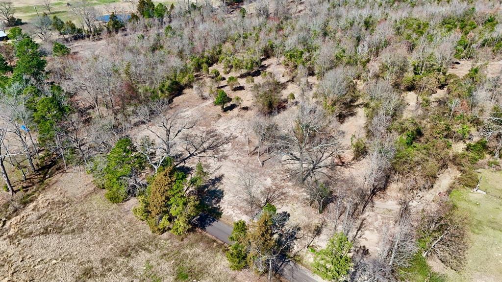 Abs A043 Nancy Glass - Land