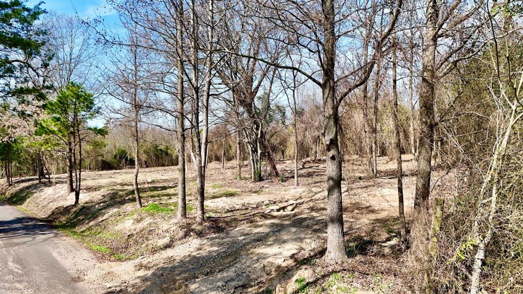 Abs A043 Nancy Glass - Land