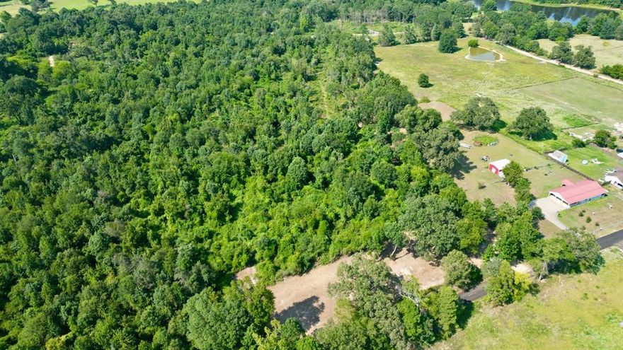 The land combines wooded areas and some open ground, giving you a great starting point to build from the ground up. With electricity available and co-op water access, this tract is ready for a homesite or a weekend getaway tailored to your needs.
Wildlife: Whitetail deer, hogs, and other native species frequent the property, offering both hunting opportunities and the enjoyment of natural surroundings