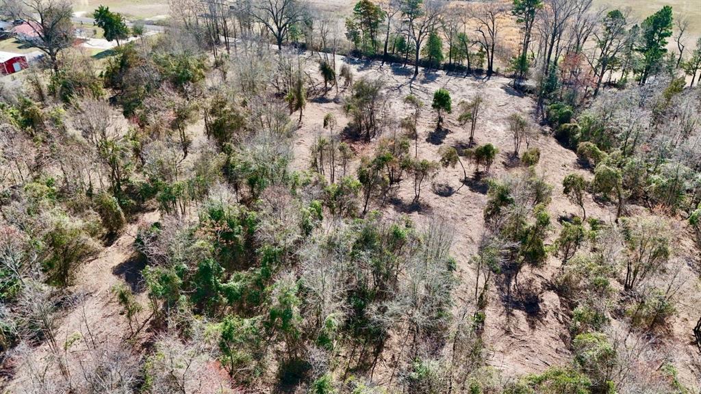 Abs A043 Nancy Glass - Land