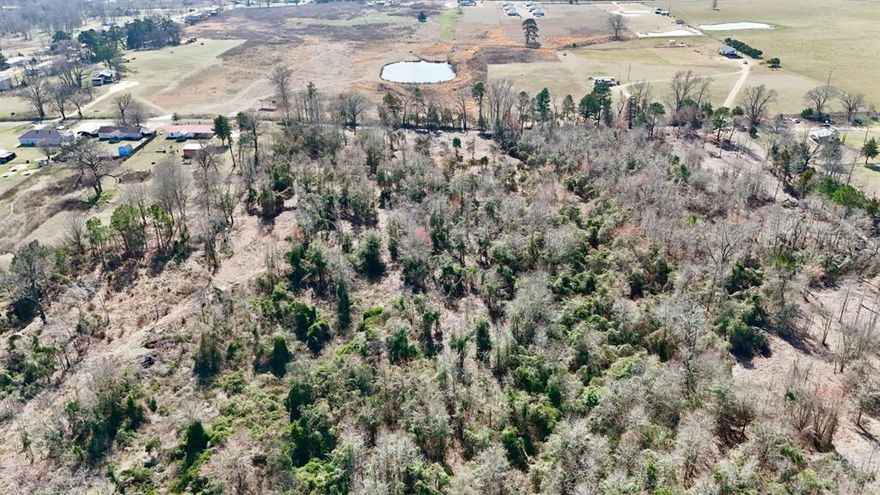 The land combines wooded areas and some open ground, giving you a great starting point to build from the ground up. With electricity available and co-op water access, this tract is ready for a homesite or a weekend getaway tailored to your needs.
Wildlife: Whitetail deer, hogs, and other native species frequent the property, offering both hunting opportunities and the enjoyment of natural surroundings