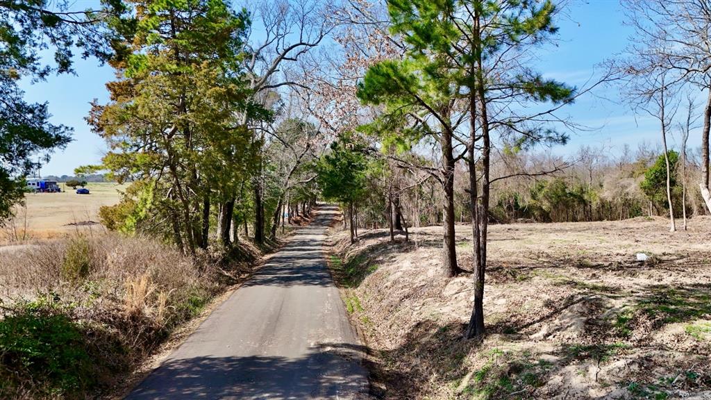 Abs A043 Nancy Glass - Land