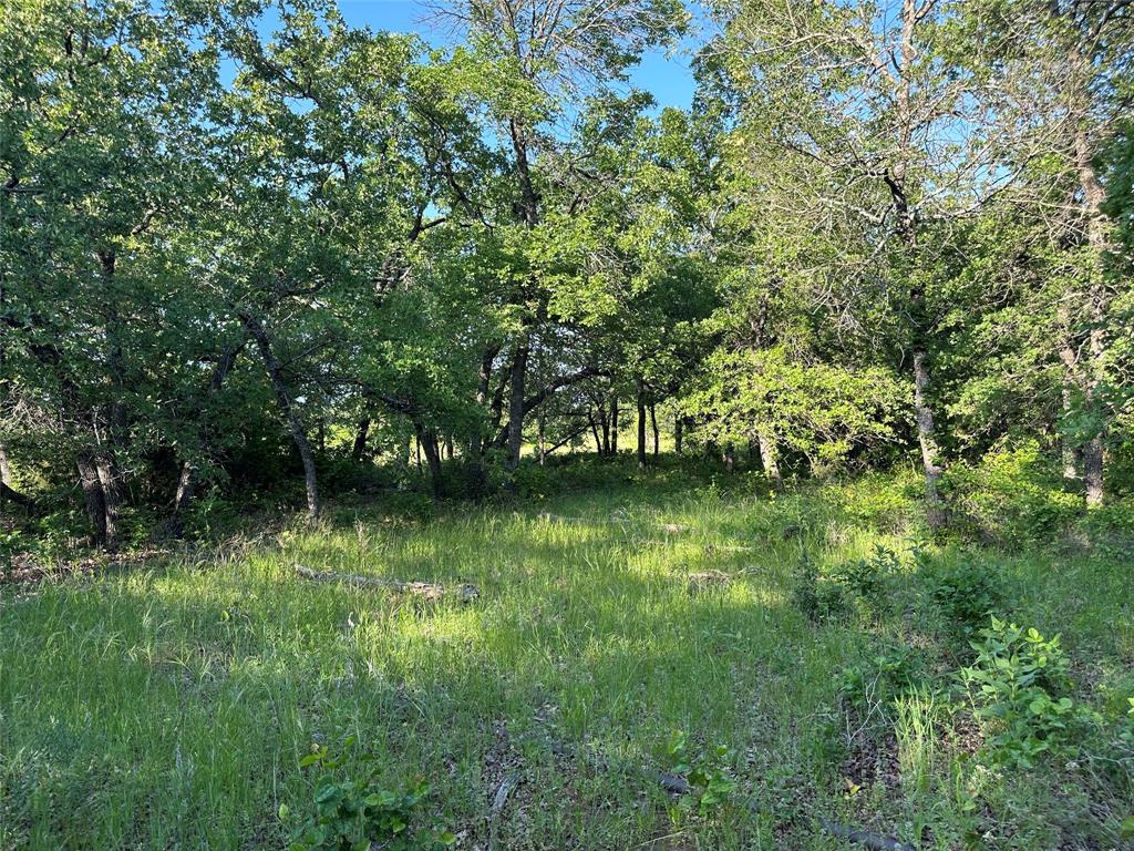TBD County Road 1895
