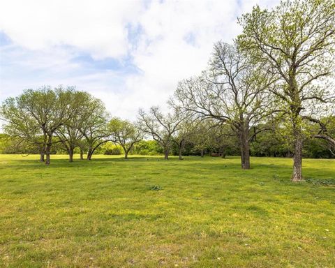 TBD County Road 160 Bluff Dale TX 76433