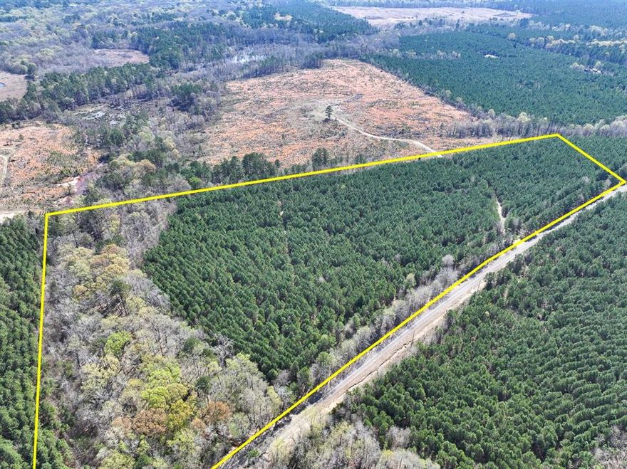 This first time open market offering is situated in the quiet village of Rodessa, Caddo Parish, Louisiana. Historically managed timber tracts currently planted in varying ages of pre-merchantable pine plantations (2014-2016). Attractive size and shaped tracts offer high recreational residential value and privacy. Tracts vary in size from 8 to 81 acres. Easily accessed from low traffic blacktop roads. Good topography and drainage. Located close to the borders of Texas, Louisiana and Arkansas. Electricity available along United Gas Road 1 and Rodessa State Line Road (LA 168 CR 4561).
