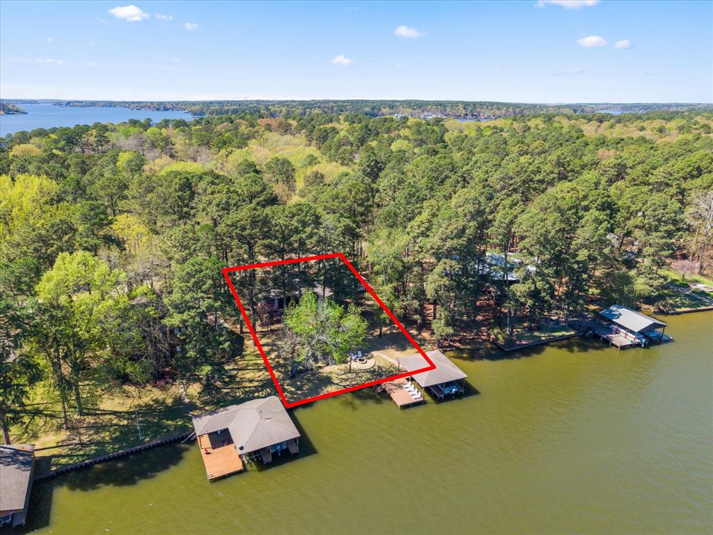 Tall Tree - Residential