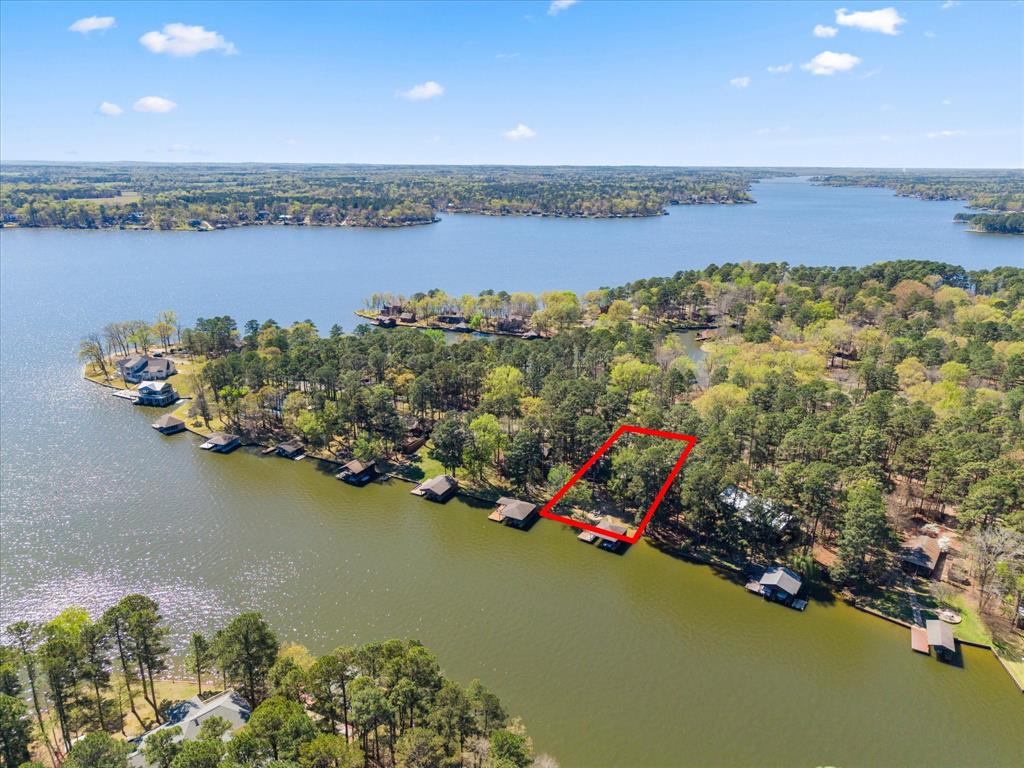 Tall Tree - Residential