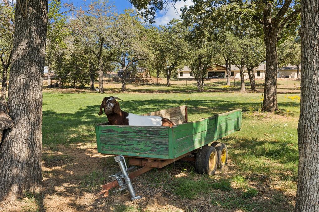 Sa Chambers - Residential