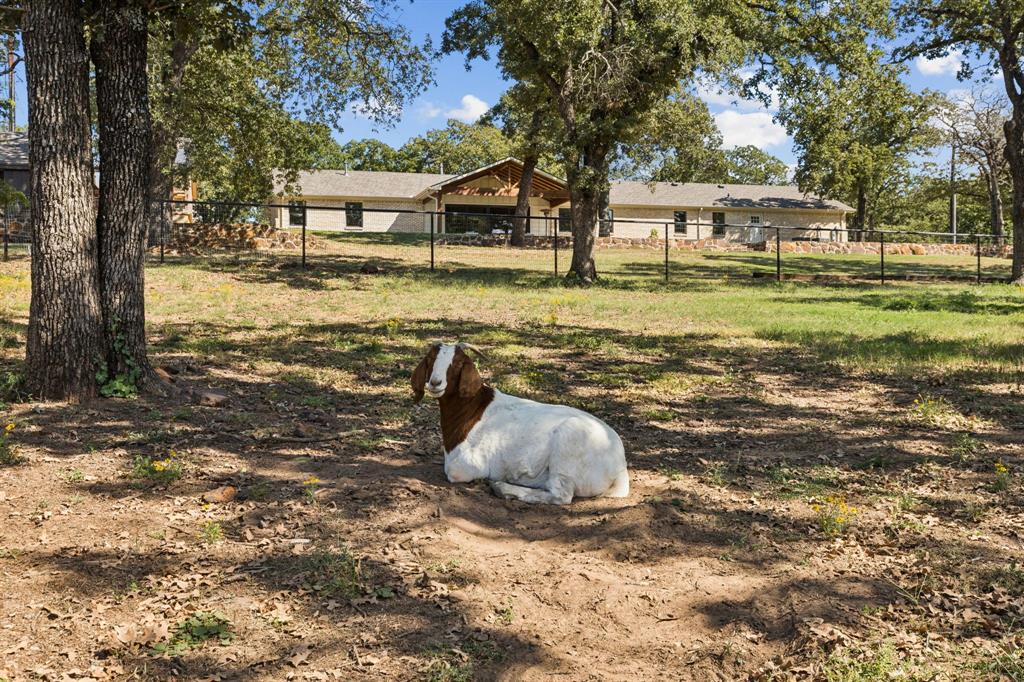 Sa Chambers - Residential