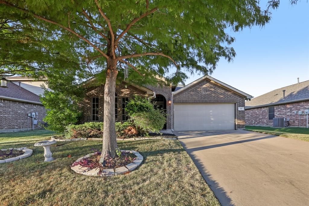 335 Coral Vine Lane
