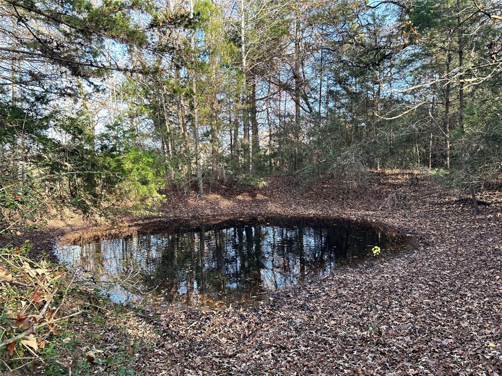 10178 County Road 272