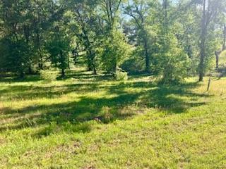 Cedar Creek Landing - Land